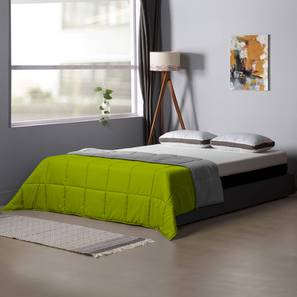Comforters Design Green Solid 220 GSM Synthetic Fiber Queen Comforter (Green, Queen Size)