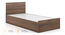 Zoey Storage Single Bed (Single Bed Size, Classic Walnut Finish) by Urban Ladder - Front View Design 1 - 481439