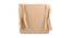 Brax Cotton Beige Solid 16x16 Inches Polyfill Filled Chair Pad (Beige) by Urban Ladder - Front View Design 1 - 484764