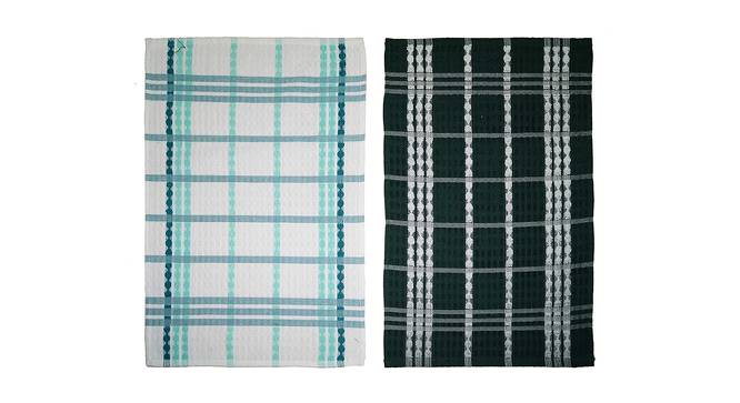 Jaylin Multicolor Checkered Cotton 16 x 24 inches Tea Towel -Set of 2 (Set Of 2 Set, Multicolor) by Urban Ladder - Front View Design 1 - 485272