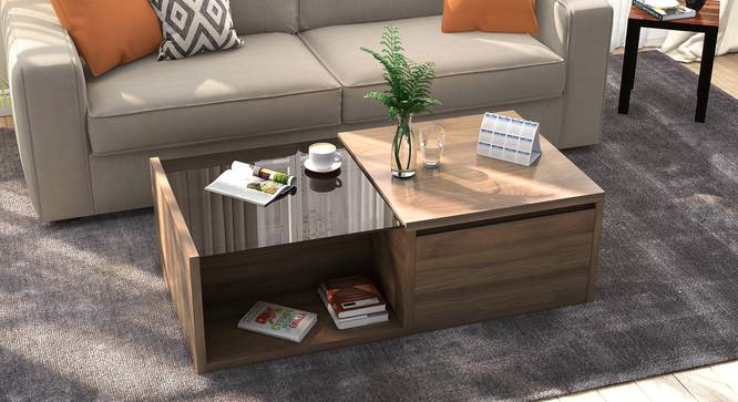 Alita Storage Coffee Table (Half Drawer Configuration, Warm Walnut Finish) by Urban Ladder - Full View Design 1 - 
