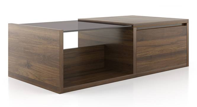 Alita Storage Coffee Table (Half Drawer Configuration, Warm Walnut Finish) by Urban Ladder - Cross View Design 1 - 