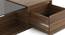 Alita Storage Coffee Table (Half Drawer Configuration, Warm Walnut Finish) by Urban Ladder - Zoomed Image Design 1 - 