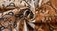 Aitana Brown Abstract 160 TC Cotton Double Size Bedsheet with 2 Pillow Covers (Brown, Double Size) by Urban Ladder - Rear View Design 1 - 485388