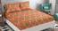 Claudia Multicolor Abstract 160 TC Cotton Double Size Bedsheet with 2 Pillow Covers (Double Size, Multicolor) by Urban Ladder - Front View Design 1 - 485421