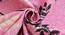 Irene Pink Floral 160 TC Cotton Double Size Bedsheet with 2 Pillow Covers (Pink, Double Size) by Urban Ladder - Rear View Design 1 - 485481