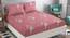 Adriana Pink Floral 160 TC Cotton Double Size Bedsheet with 2 Pillow Covers (Pink, Double Size) by Urban Ladder - Front View Design 1 - 485519
