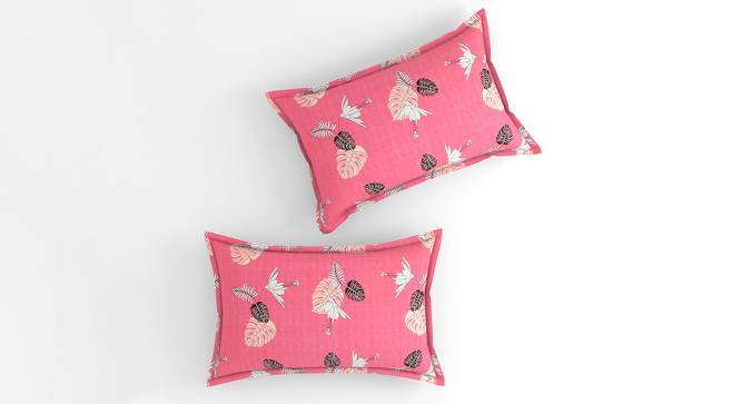 Diego Pink Floral 160 TC Cotton Double Size Bedsheet with 2 Pillow Covers (Pink, Double Size) by Urban Ladder - Cross View Design 1 - 485546