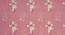 Adriana Pink Floral 160 TC Cotton Double Size Bedsheet with 2 Pillow Covers (Pink, Double Size) by Urban Ladder - Design 1 Side View - 485561