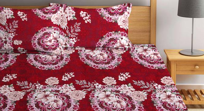 Marilynn Red Floral 210 TC Polycotton King Size Bedsheet With 2 Pillow Covers (Red, King Size) by Urban Ladder - Front View Design 1 - 485985
