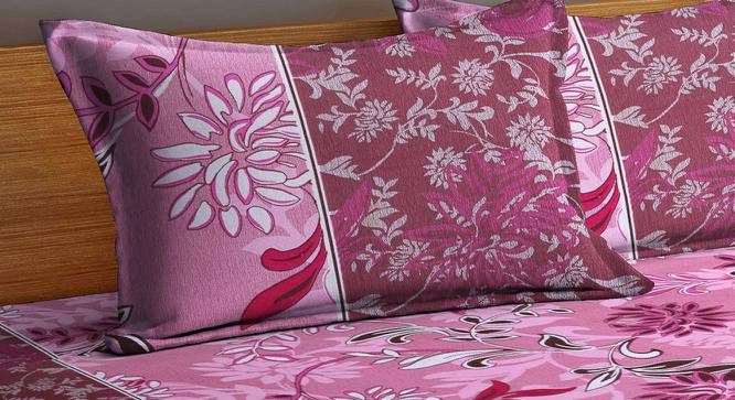 Haddon Pink Floral 210 TC Cotton King Size Bedsheet With 2 Pillow Covers (Pink, King Size) by Urban Ladder - Cross View Design 1 - 486091
