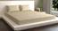 Heath Ivory 210 TC fabric Queen Size  Bedsheets With  2 Pillow Covers (Ivory, Queen Size) by Urban Ladder - Cross View Design 1 - 486880