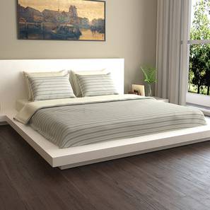 Bedsheets Design Dayanara Ivory 200 TC Cotton Bedding Set- Set of 6 (Ivory)