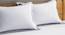 Susan White 190 TC fabric King Size  Bedsheets With  2 Pillow Covers (White, King Size) by Urban Ladder - Front View Design 1 - 487966