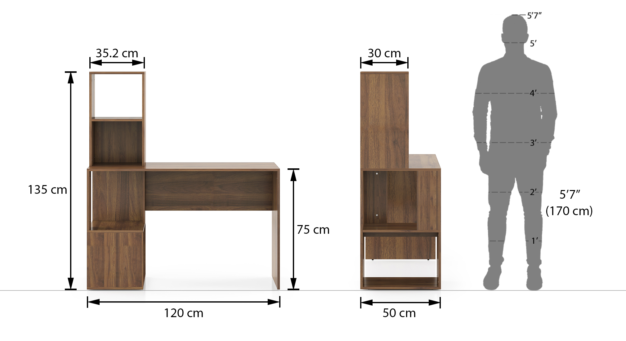 Carl study table warm walnut 7