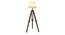 Elvina Off White Cotton & Silk Mix Shade Floor Lamp (Natural Teak Wood & Nickle) by Urban Ladder - Front View Design 1 - 488315