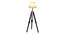 Vinnie Off White Cotton & Silk Mix Shade Floor Lamp (Black & Nickle) by Urban Ladder - Front View Design 1 - 488316