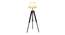Shaylah Off White Cotton & Silk Mix Shade Floor Lamp (Walnut Polish & Brass Antique) by Urban Ladder - Front View Design 1 - 488318