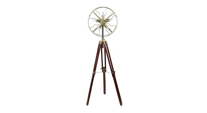 Drago Gold Iron Shade Floor Lamp (Antique Brass) by Urban Ladder - Front View Design 1 - 488321