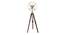 Drago Gold Iron Shade Floor Lamp (Antique Brass) by Urban Ladder - Front View Design 1 - 488321