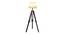 Aubre Off White Cotton & Silk Mix Shade Floor Lamp (Walnut Polish & Brass Antique) by Urban Ladder - Front View Design 1 - 488416