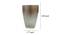 Bevelyn Light Brown Oval Polyresin Toothbrush Holder (Light Brown) by Urban Ladder - Design 1 Dimension - 488697