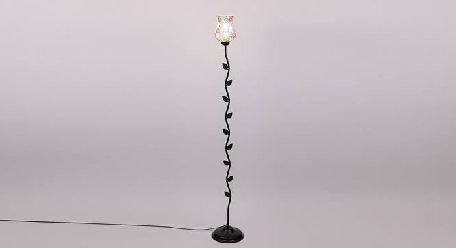 Rothwell Black Glass Shade Floor Lamp (Multicolor) by Urban Ladder - Front View Design 1 - 493753