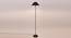 Will Black Cotton Shade Floor Lamp (Black) by Urban Ladder - Front View Design 1 - 493756