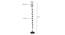 Stafford Black Glass Shade Floor Lamp (Multicolor) by Urban Ladder - Design 1 Dimension - 493816