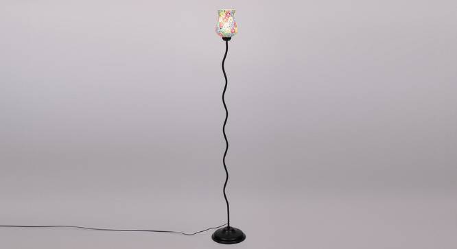 Maynard Black Glass Shade Floor Lamp (Multicolor) by Urban Ladder - Front View Design 1 - 493865
