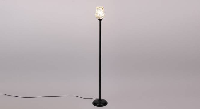 Cameron Black Glass Shade Floor Lamp (Multicolor) by Urban Ladder - Front View Design 1 - 493877