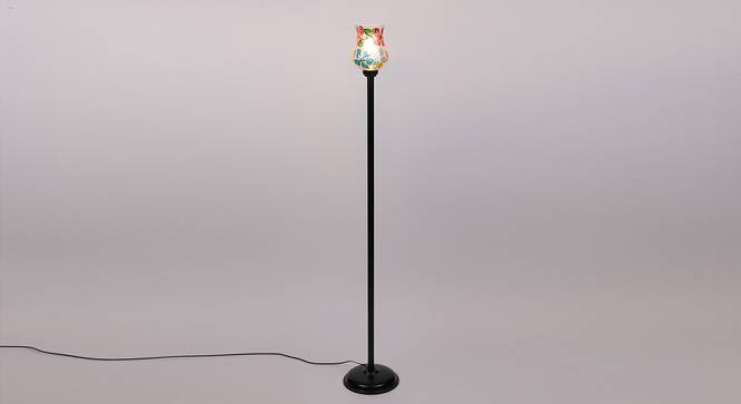 Cary Black Glass Shade Floor Lamp (Multicolor) by Urban Ladder - Front View Design 1 - 493878