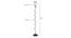 Langley Black Glass Shade Floor Lamp (Multicolor) by Urban Ladder - Design 1 Dimension - 493914