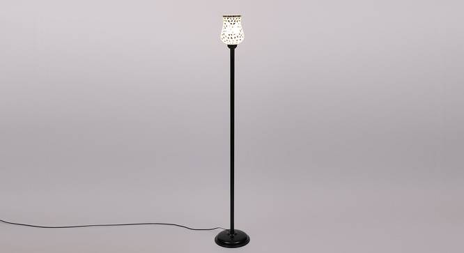 Dixon Black Glass Shade Floor Lamp (Multicolor) by Urban Ladder - Front View Design 1 - 493947