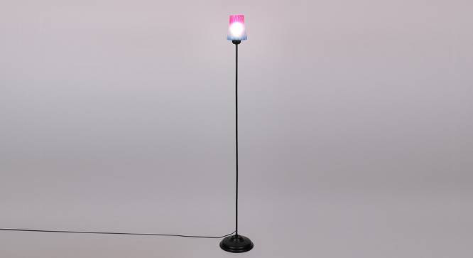 Landry Black Glass Shade Floor Lamp (Multicolor) by Urban Ladder - Front View Design 1 - 493952