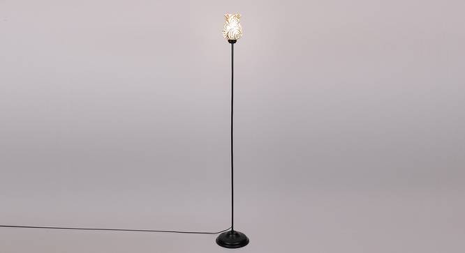 Leonard Black Glass Shade Floor Lamp (Multicolor) by Urban Ladder - Front View Design 1 - 493953