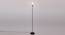 Leonard Black Glass Shade Floor Lamp (Multicolor) by Urban Ladder - Front View Design 1 - 493953