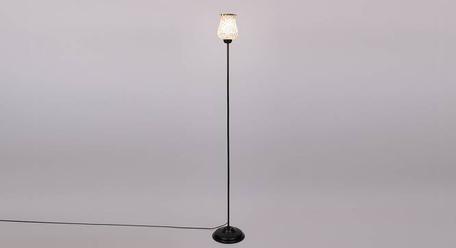 Mitchell Black Glass Shade Floor Lamp (Multicolor) by Urban Ladder - Front View Design 1 - 493954