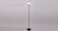 Oliver Black Glass Shade Floor Lamp (Multicolor) by Urban Ladder - Front View Design 1 - 493955