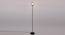Phil Black Glass Shade Floor Lamp (Multicolor) by Urban Ladder - Front View Design 1 - 493957