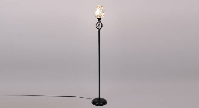 Cora Black Glass Shade Floor Lamp (Multicolor) by Urban Ladder - Front View Design 1 - 493963