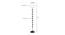 Wolfred Black Cotton Shade Floor Lamp (White) by Urban Ladder - Design 1 Dimension - 494221