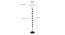 Carrington Black Cotton Shade Floor Lamp (White) by Urban Ladder - Design 1 Dimension - 494225