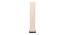 Roman White Cotton Shade Floor Lamp (White) by Urban Ladder - Front View Design 1 - 494492