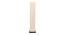 Roman White Cotton Shade Floor Lamp (White) by Urban Ladder - Front View Design 1 - 494492