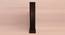 Cicely Black Cotton Shade Floor Lamp (Black) by Urban Ladder - Front View Design 1 - 494604