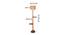 Ivana Beige Cotton Shade Floor Lamp (Beige) by Urban Ladder - Design 1 Dimension - 494689