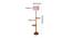 Jacoby Multicolour Cotton Shade Floor Lamp (Multicolor) by Urban Ladder - Design 1 Dimension - 495038
