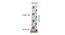 Moon Multicolour Cotton Shade Floor Lamp (Multicolor) by Urban Ladder - Design 1 Dimension - 495041