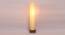 Carlin White Cotton Shade Floor Lamp (White) by Urban Ladder - Front View Design 1 - 495194